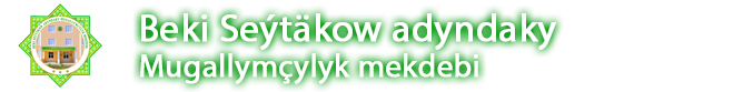 Footer Logo